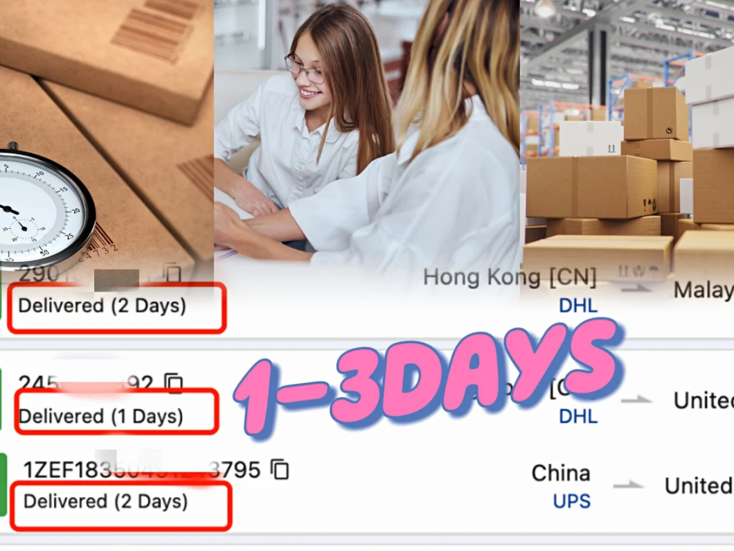 Logistics and Transportation Air Freight From China to De Germany DDU DDP Door to Door DHL/FedEx/UPS/TNT Express Delivery