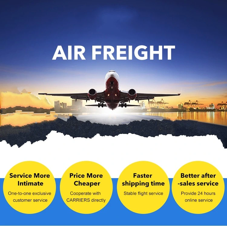 Forwarder Service, Air Shipping Agent From China to UK Amazon DDP, Door to Door Fba Logistics