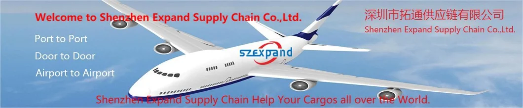 Air/Sea/Railway/Trucking/Train Freight/Shipping From China to Germany DDP Door to Door Agent Battery/Electric Scooter/Cosmetics Forwarder Amazon Fba Logistics