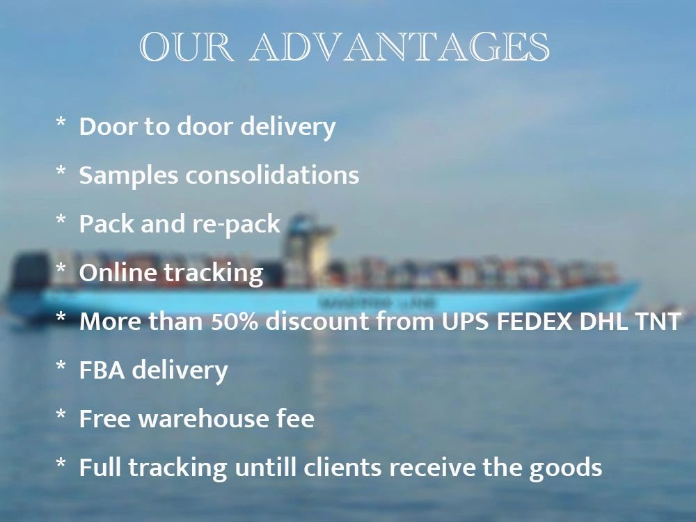 Air Drop Shipping/ Cargo Agent/ Shipping Cost From China to Italy