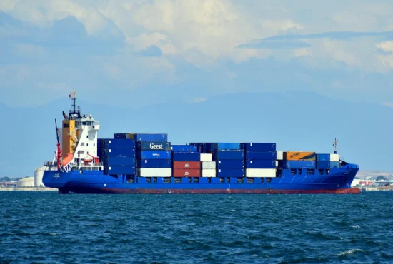 Профессиональные услуги морских грузовых перевозок из Китая. Агент по морским перевозкам со складским обслуживанием DDP LCL.