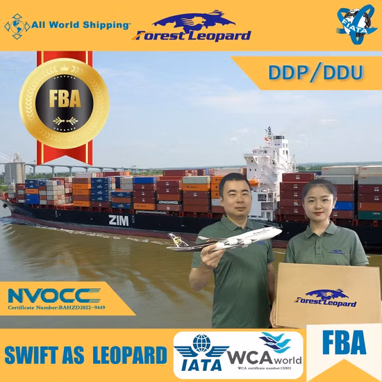Морская доставка UPS/Alibaba Express в США/Великобританию/Германию/Европу/Канаду/Австралию/Нигерию с логистическим экспедитором FBA Amazon Ocean Shipping Agent