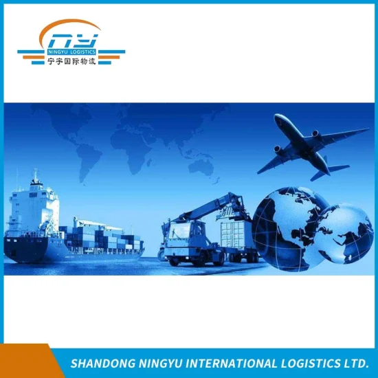 Профессиональный грузовой агент / Опытный поставщик логистических услуг / Контейнерные перевозки из Китая в Австралию морским/воздушным транспортом